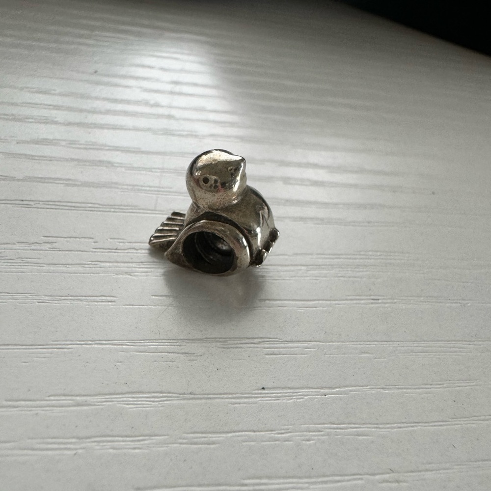 Pandora charms